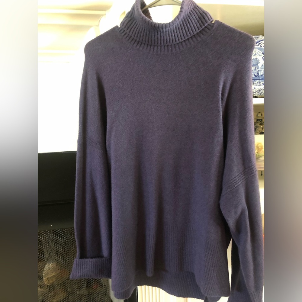 J Crew turtleneck sweater